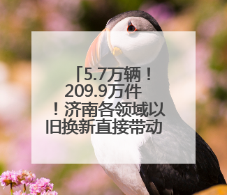 5.7万辆！209.9万件！济南各领域以旧换新直接带动消费157.2亿元