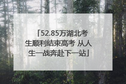 52.85万湖北考生顺利结束高考 从人生一战奔赴下一站