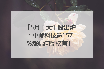 5月十大牛股出炉：中邮科技逾157%涨幅问鼎榜首