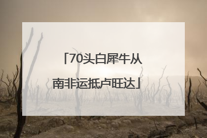 70头白犀牛从南非运抵卢旺达