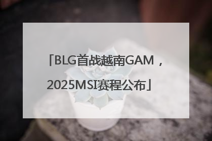 BLG首战越南GAM，2025MSI赛程公布
