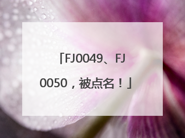 FJ0049、FJ0050，被点名！