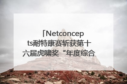 Netconcepts耐特康赛斩获第十六届虎啸奖“年度综合服务商”大奖